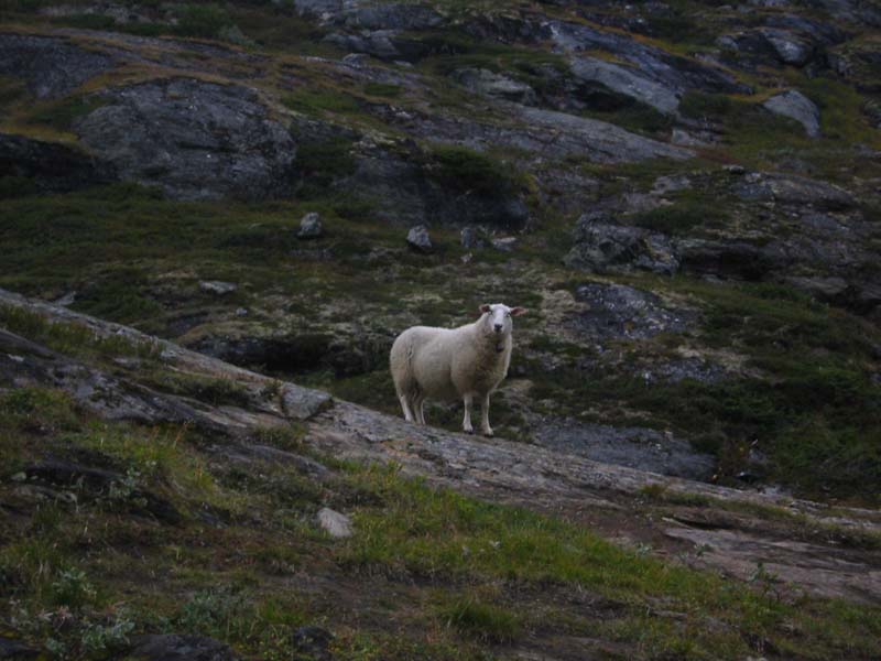 grotte-_og_fjelltur2004 (24)