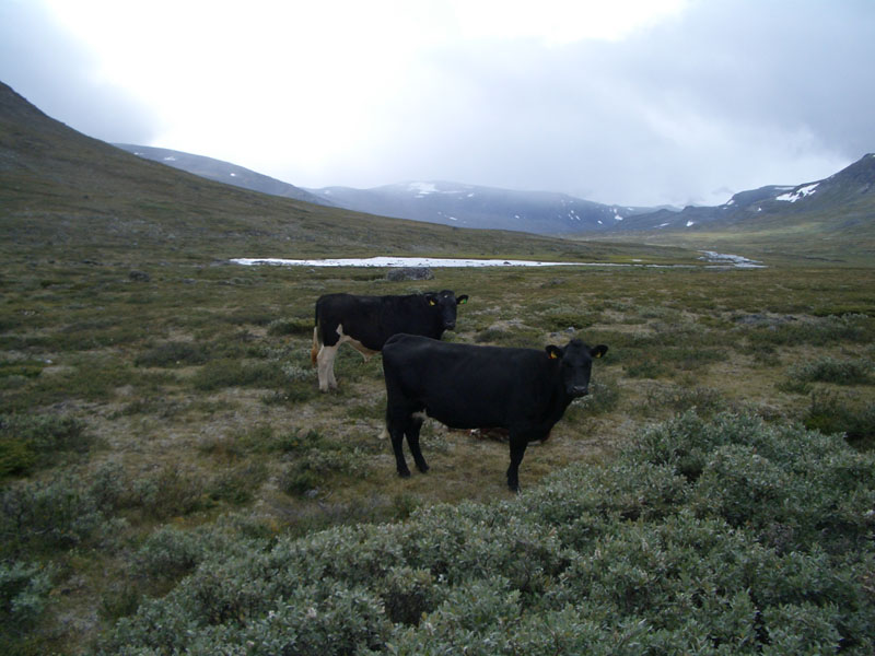 fjelltur_2005 (50)