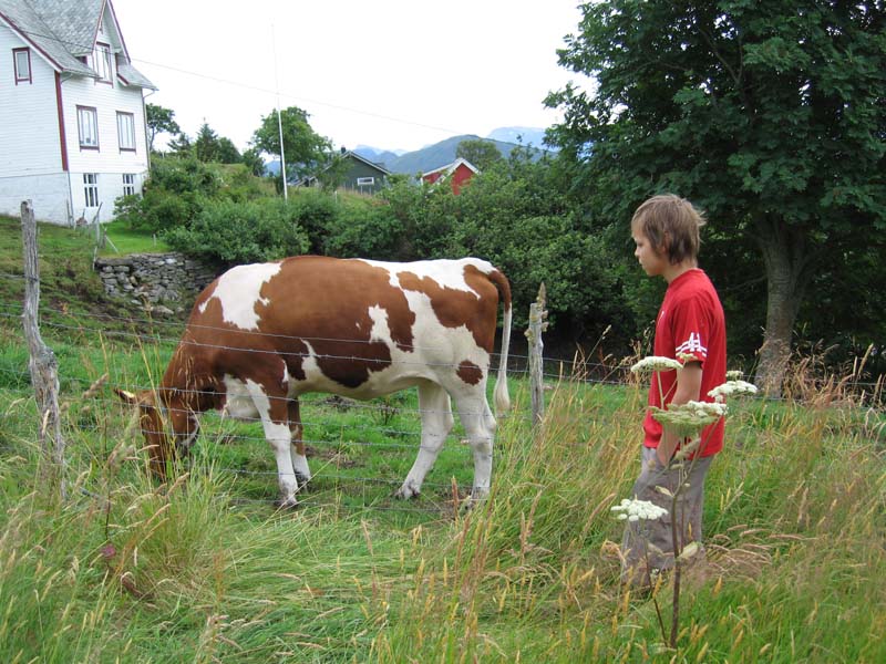 Sandsøya 2006 038