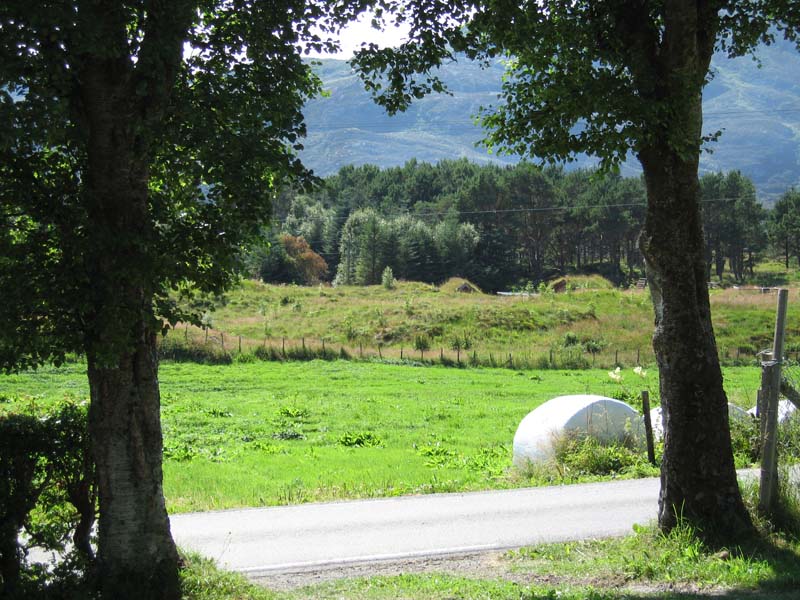 Sandsøya 2006 051